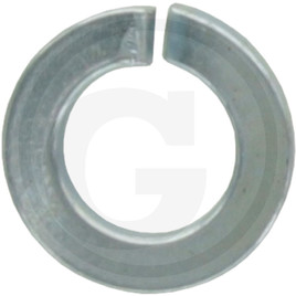 Blister Spring washer