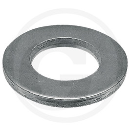 Blister Flat washer
