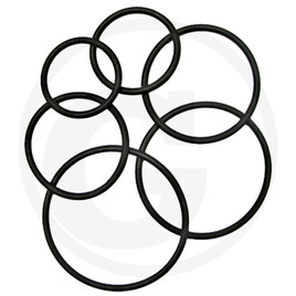 GRANIT O-ring