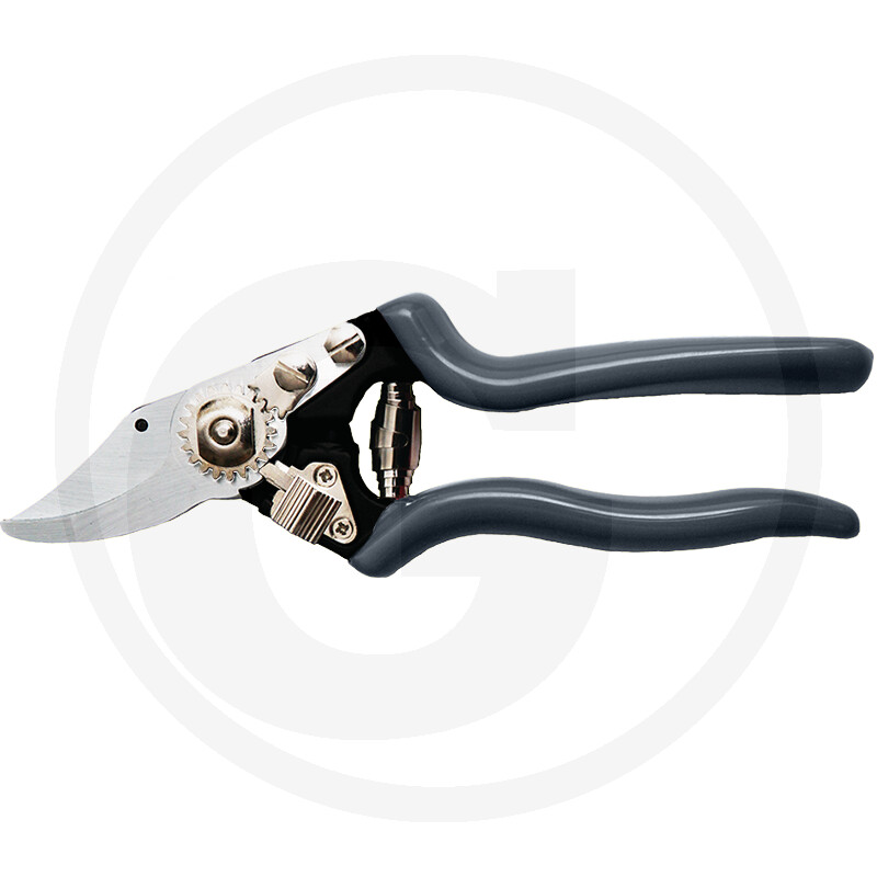 — 11059450 — 11059450 —