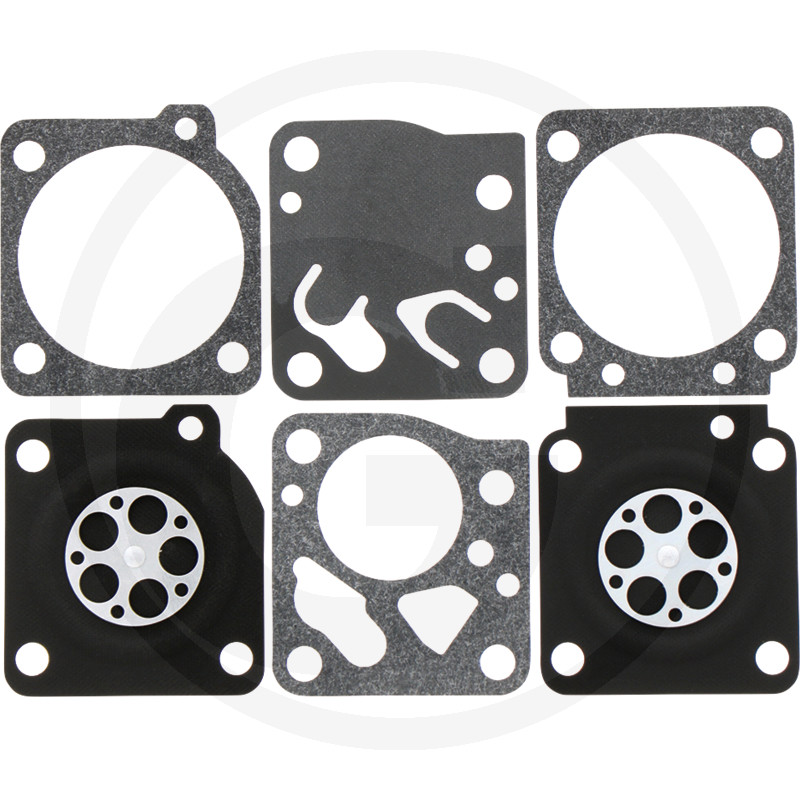 — 40272698 — 40272698 —